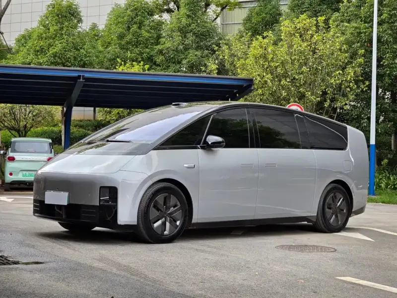 Li Auto Li MEGA Li Auto MEGA 2025 Home Home Family Special Edition, 2025 — фото 1