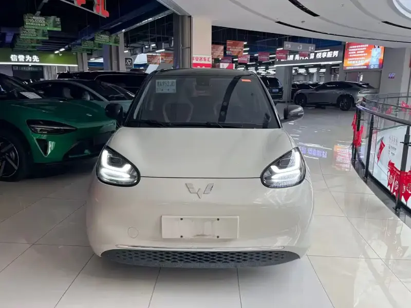 Wuling Bingo, 2023
