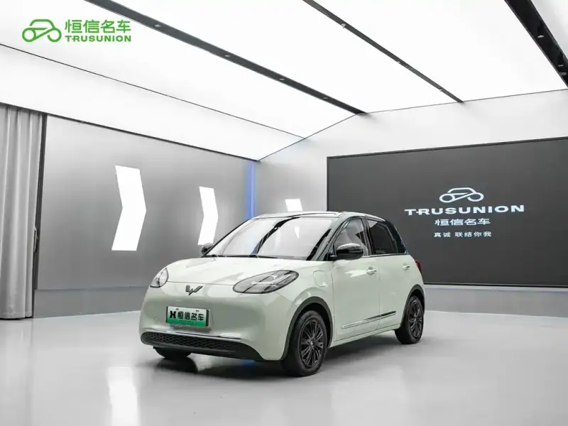Wuling Bingo, 2024