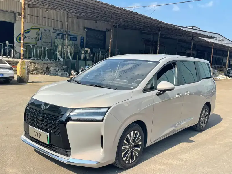 Wuling 730, 2025