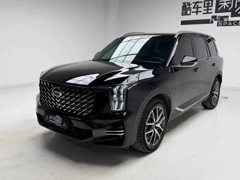 GAC Motor Trumpchi GS8, 2024