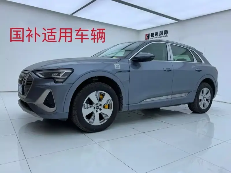 Audi e-tron Audi e-tron 2021 50 quattro Luxury Type, 2026 — фото 1