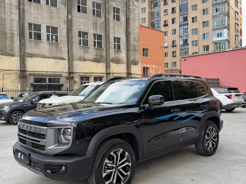 Haval Big Dog, 2024
