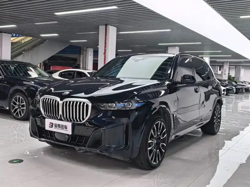 BMW X5 BMW X5 2023 xDrive 40Li M Sport Night Package, 2025 — фото 1