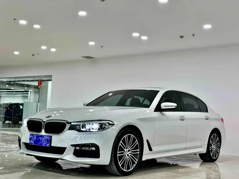 BMW 5 Series BMW 5 Series 2018 Facelift 530Li xDrive M Sport Package, 2018 — фото 1