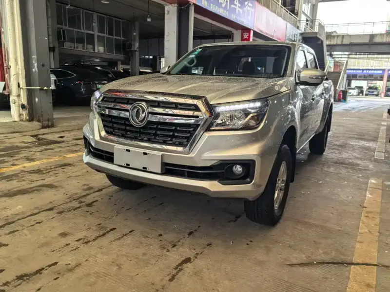 Dongfeng Rich 6, 2022