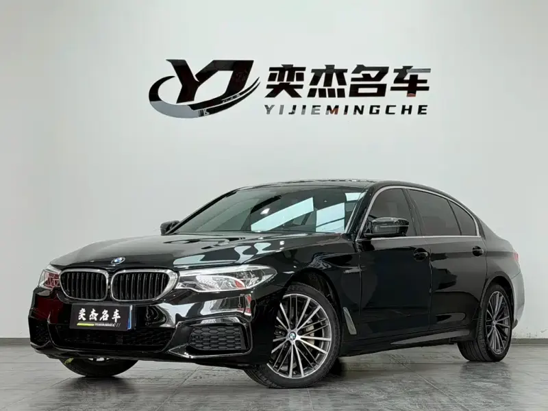 BMW 5 Series BMW 5 Series 2020 530Li Premium Type M Sport Package, 2020 — фото 1