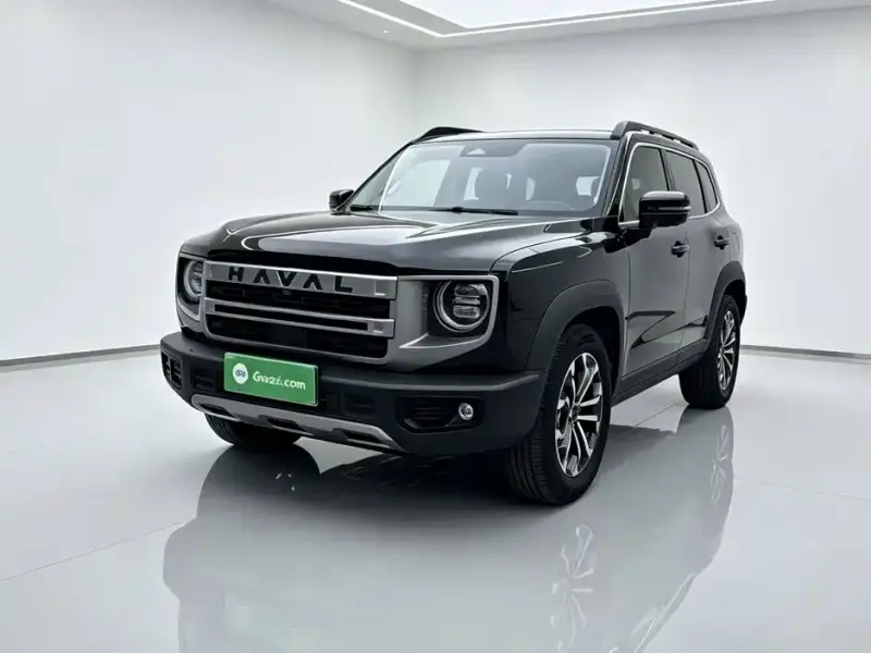 Haval Big Dog, 2024