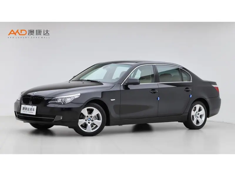 BMW 5-Series, 2009