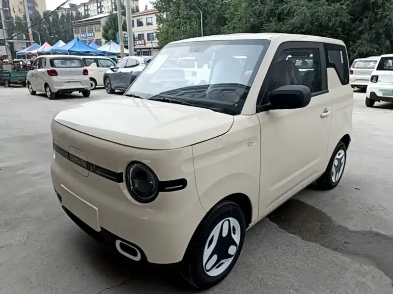 Galaxy Panda, 2026