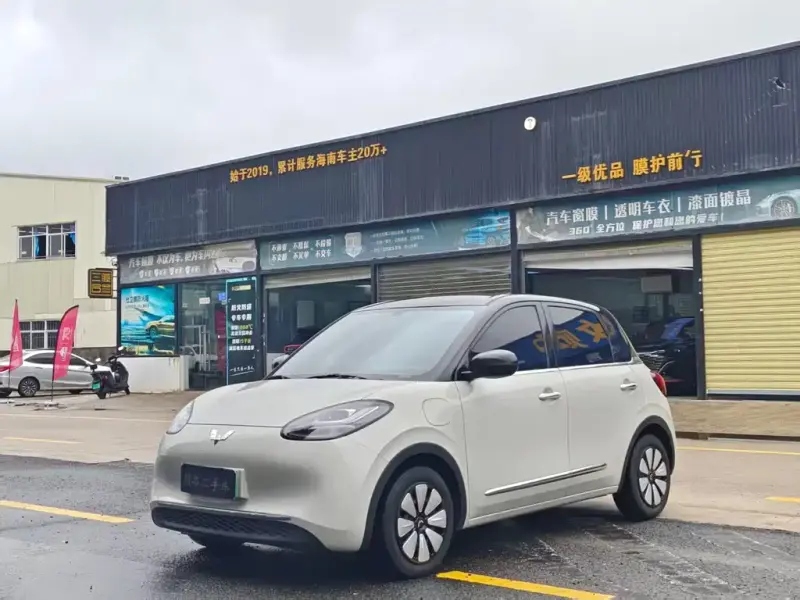 Wuling Bingo, 2024
