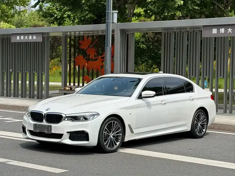 BMW 5 Series, 2020