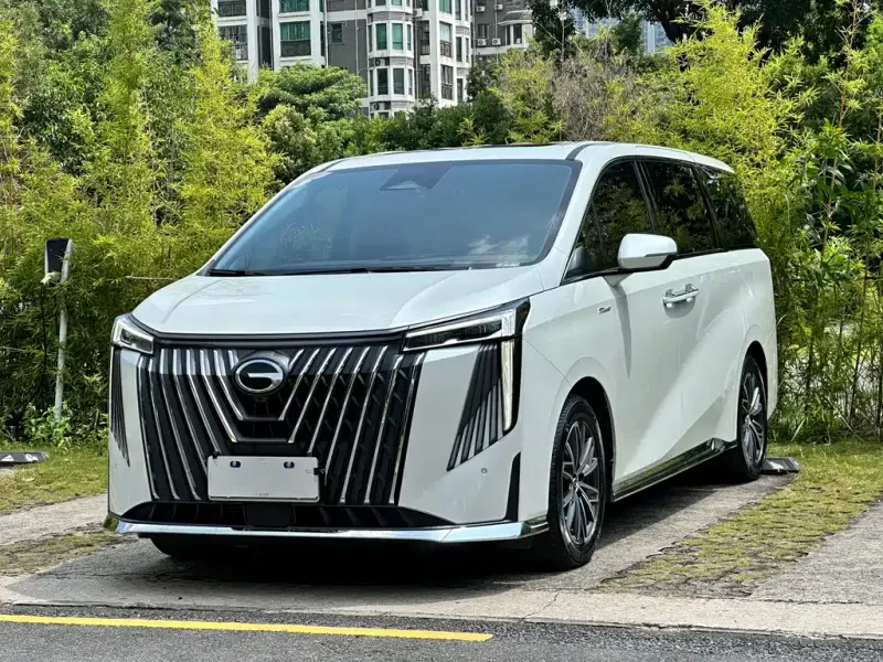GAC Motor Trumpchi M8, 2024