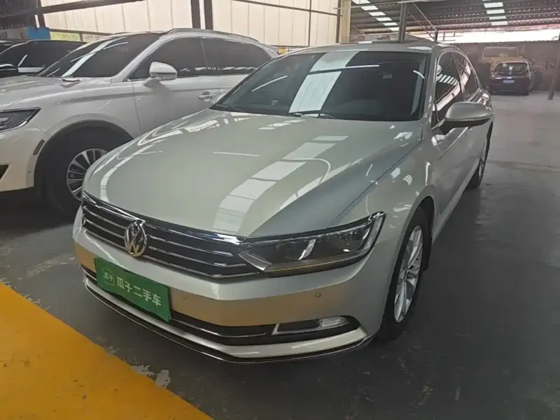 Volkswagen Magotan, 2019