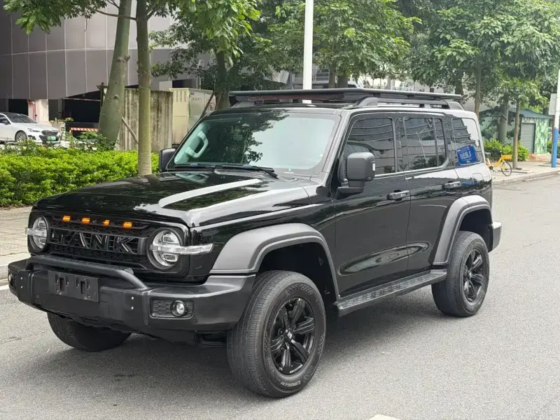 Tank 300, 2021