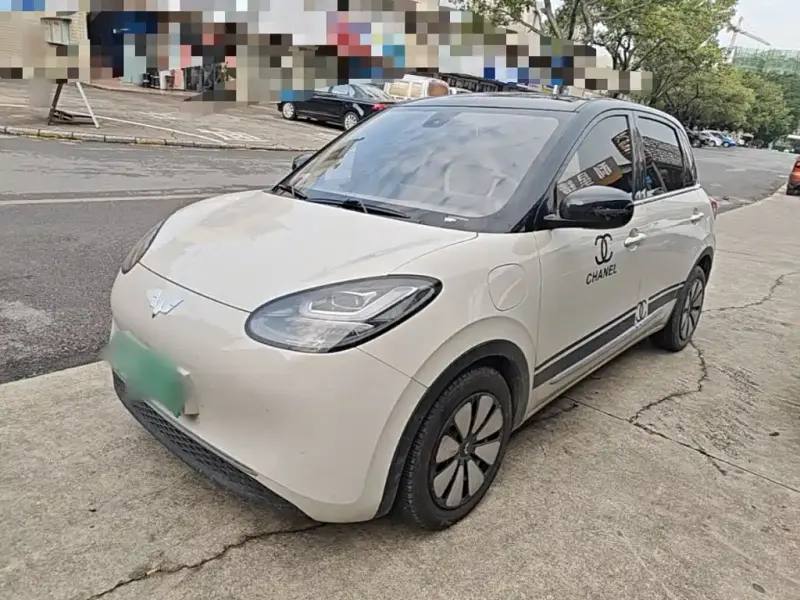 Wuling Bingo, 2024
