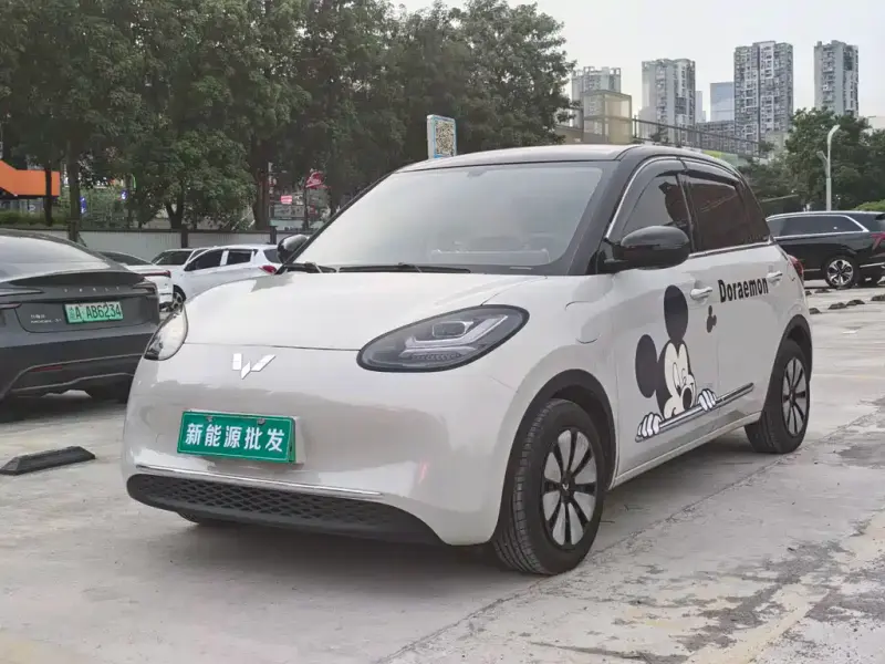 Wuling Bingo, 2024