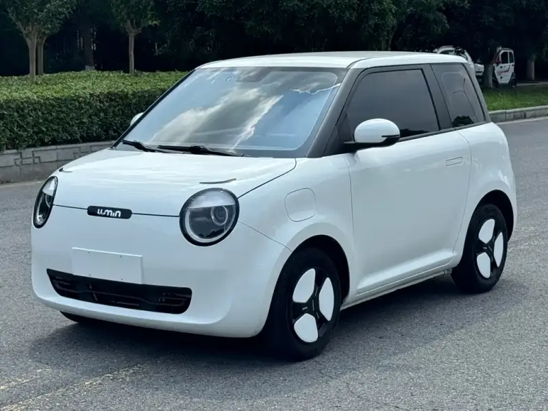 Qiyuan Lumin, 2023
