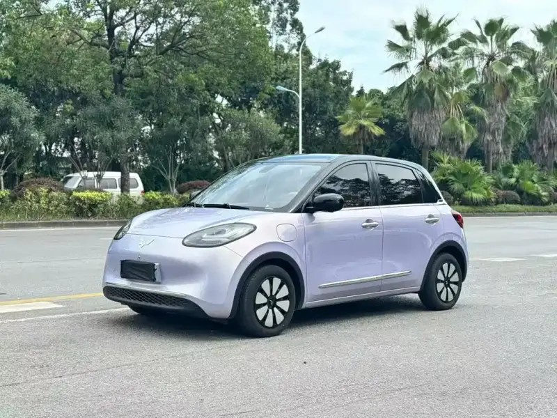 Wuling Bingo, 2025