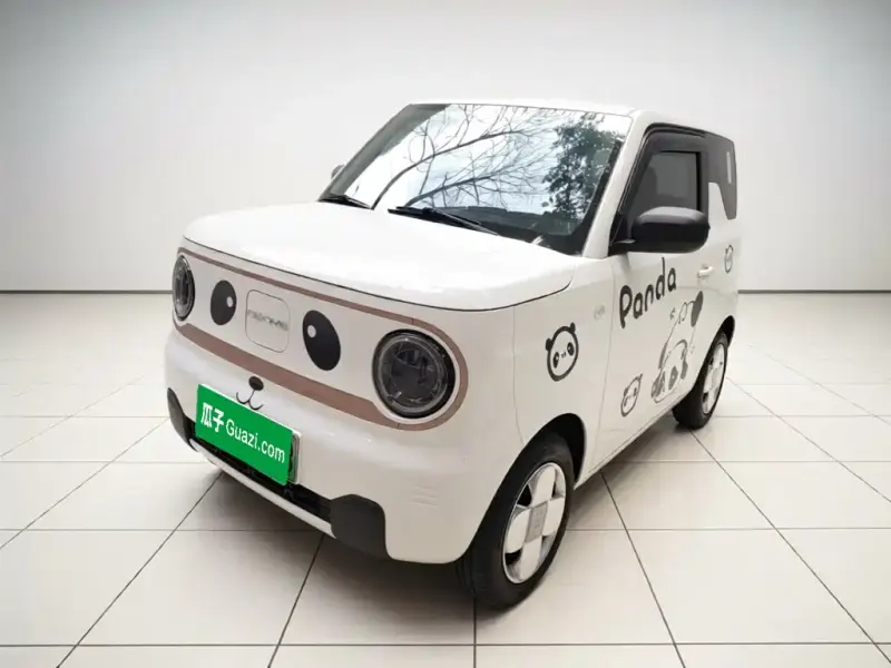 Galaxy Panda, 2024