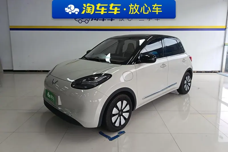 Wuling Bingo, 2024