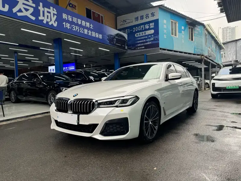 BMW 5 Series, 2020