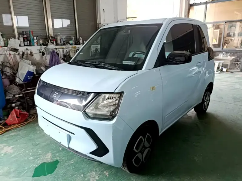 Fengguang MINIEV, 2022
