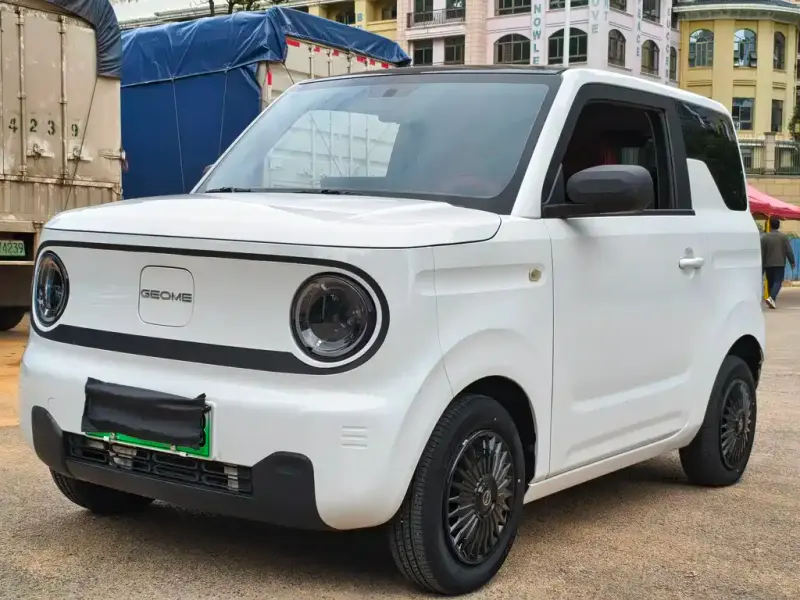 Galaxy Panda, 2023