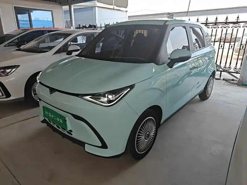 Cowin Shiyue, 2024
