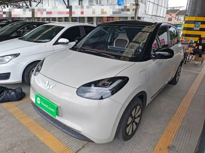 Wuling Bingo, 2024