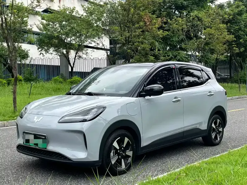 Wuling Bingo PLUS, 2024