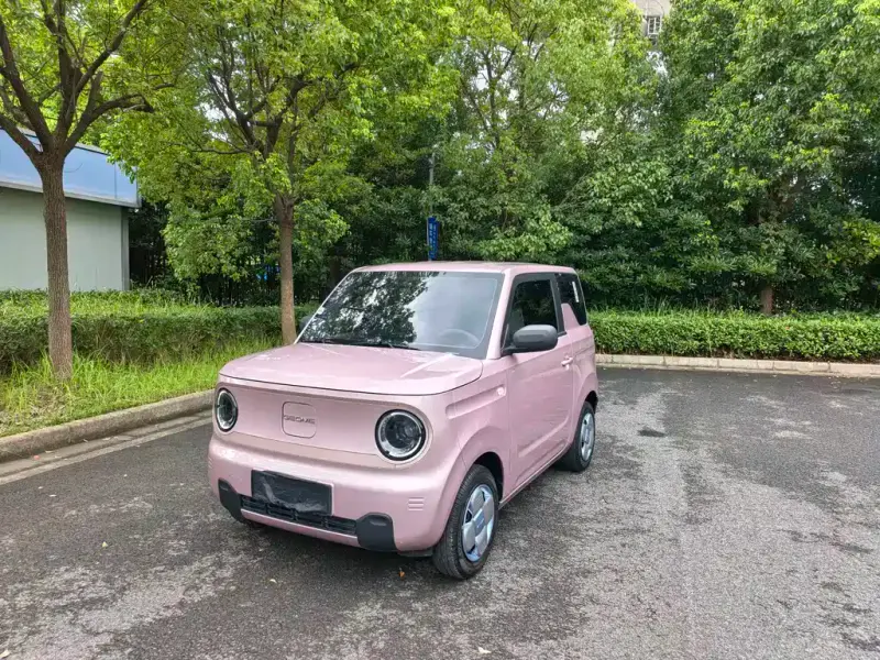 Galaxy Panda, 2025
