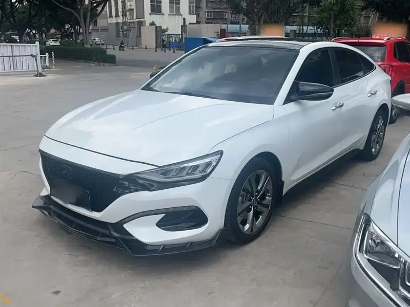 Hyundai Fista, 2020