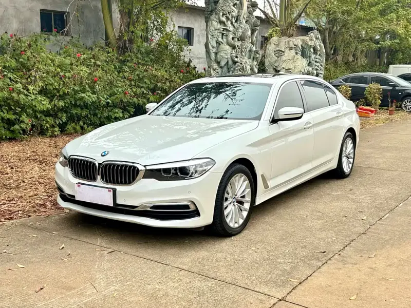 BMW 5 Series, 2019