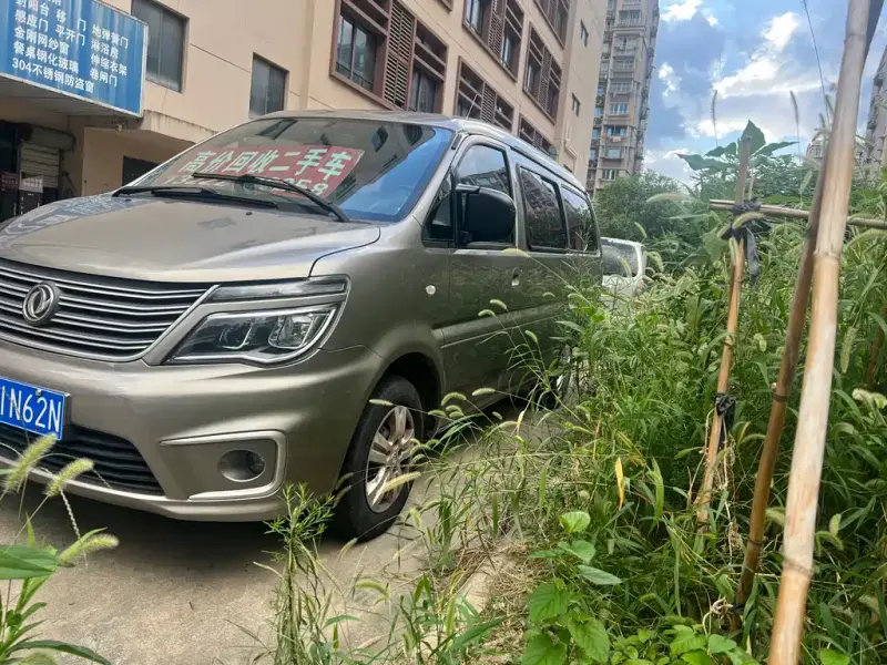 Fengxing Lingzhi, 2020