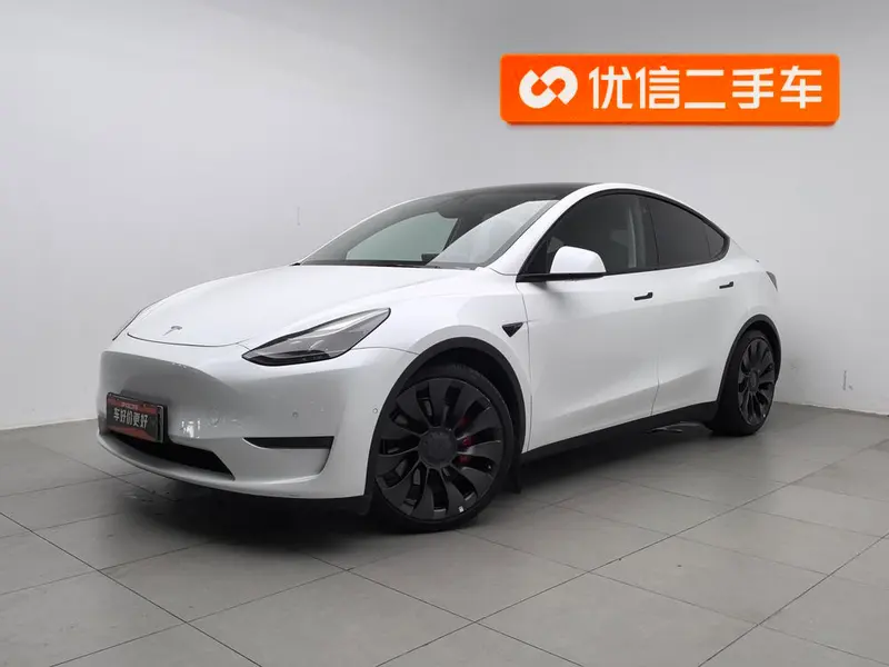 Tesla Model Y Performance High Performance AWD Edition, 2021 — фото 1