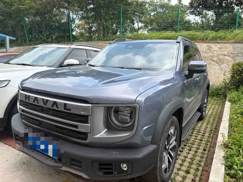Haval Big Dog Haval Dargo (Big Dog) 2024 1.5T DCT Border Collie Edition, 2024 — фото 1