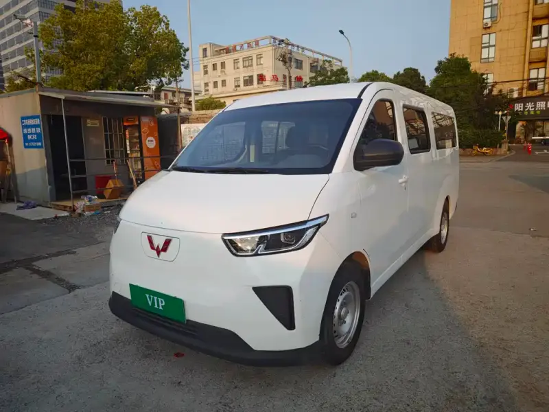 Wuling Yangguang, 2024