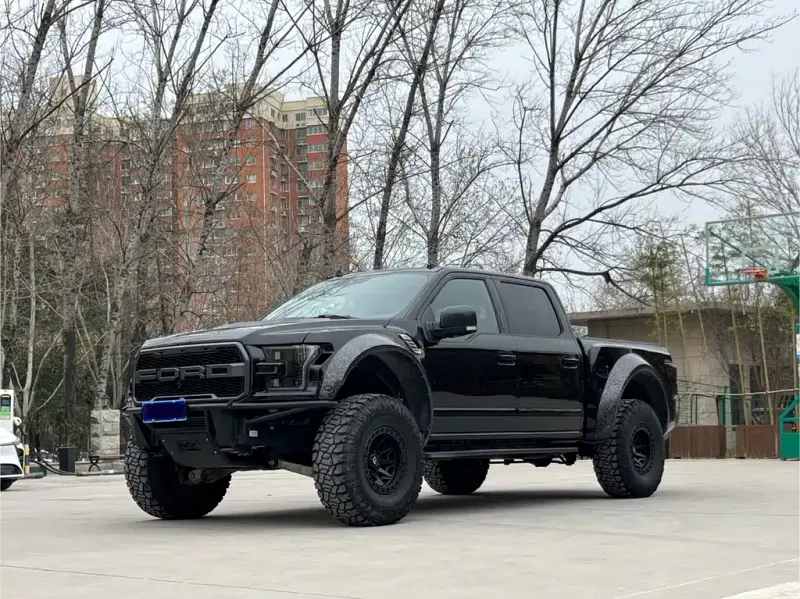 Ford F-150 Raptor, 2020