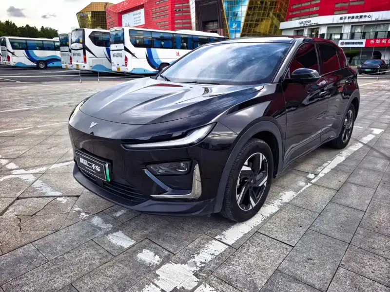 Neta X, 2024