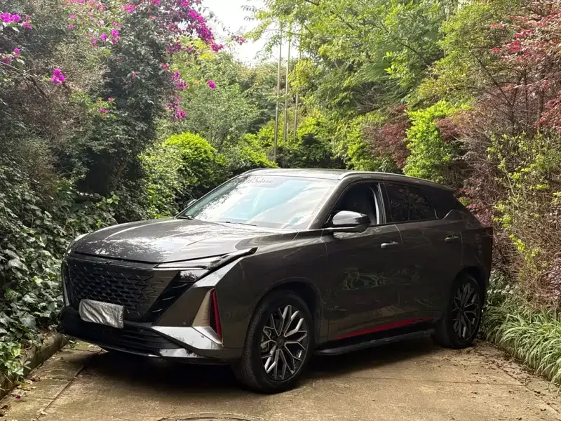 Oshan Oushang Z6, 2023