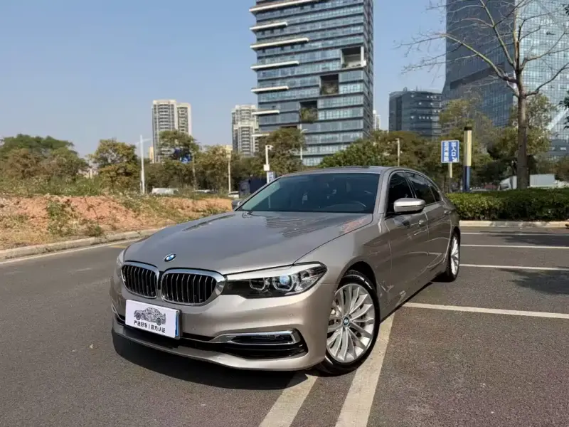 BMW 5 Series, 2019