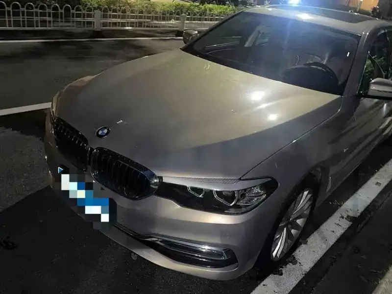 BMW 5 Series BMW 5 Series 2018 530Li Leading Type Luxury Package, 2017 — фото 1