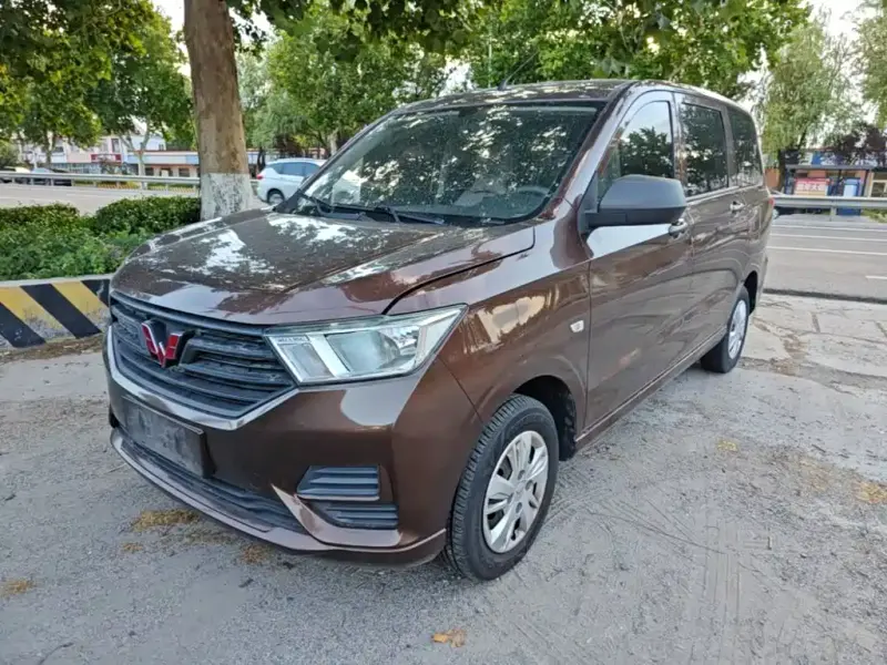 Wuling Hongguang, 2019