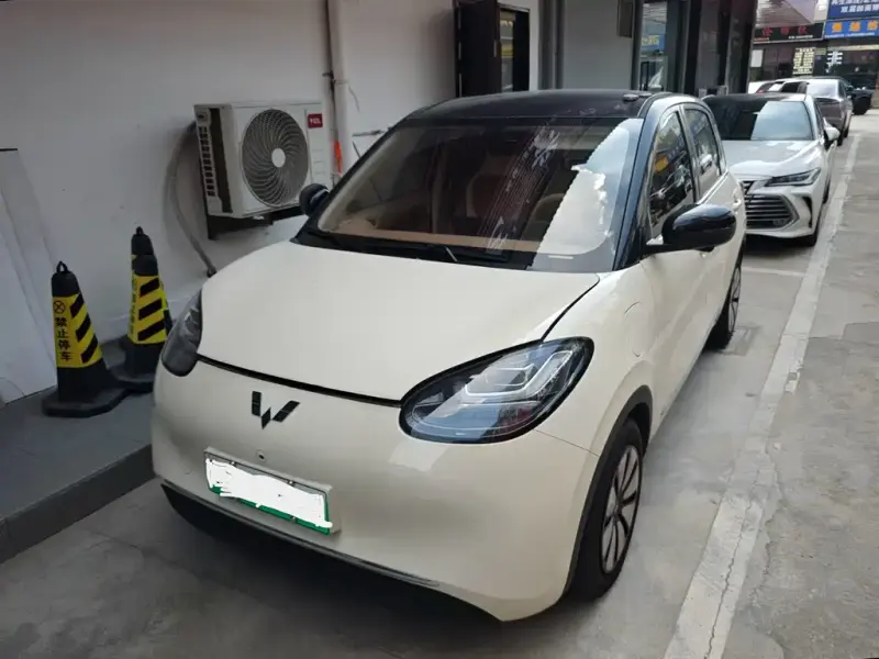Wuling Bingo, 2025