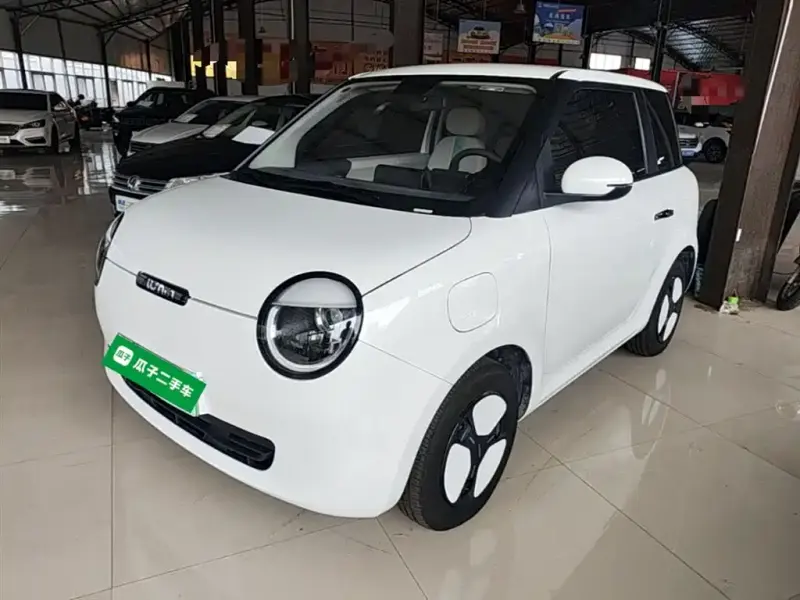 Qiyuan Lumin, 2025