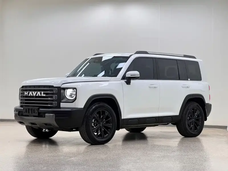 Haval Menglong New Energy, 2025