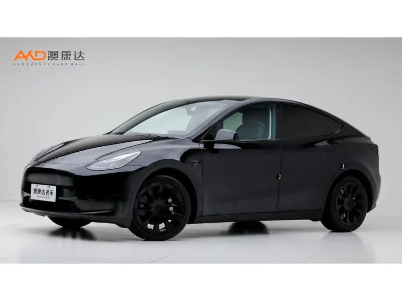 Tesla Model Y, 2022