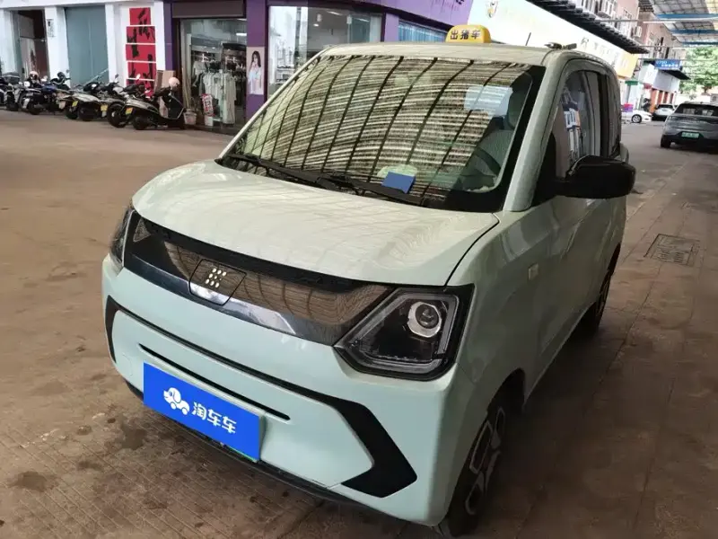Fengguang MINIEV, 2022