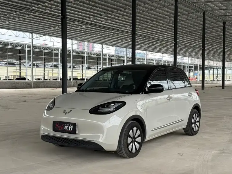 Wuling Bingo, 2024